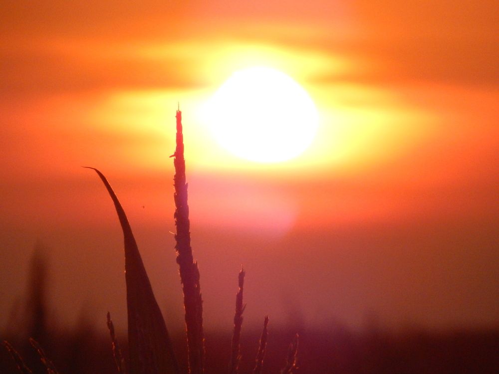 Photograph by Александр Козлов