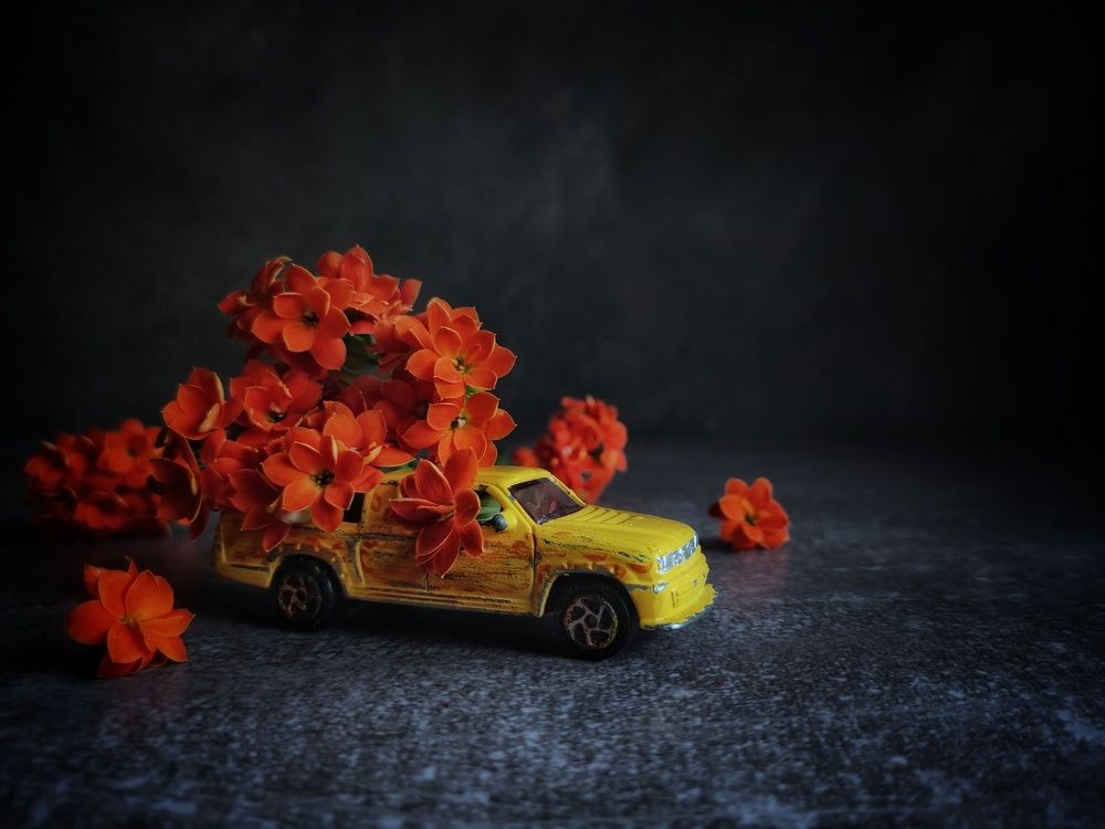 Photograph by Anastasia Malyukova