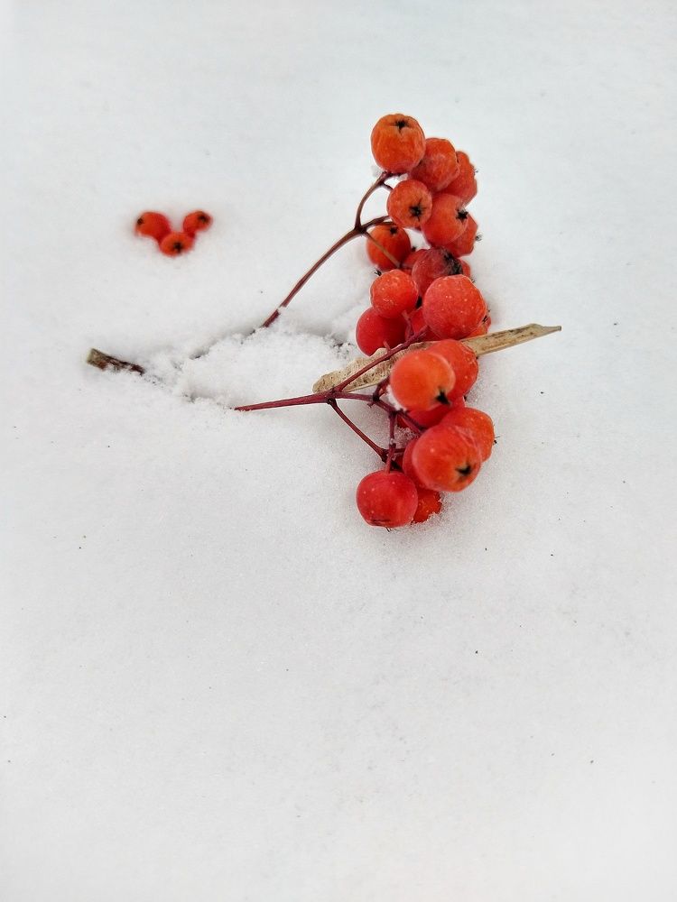 Photograph by Елена Силантьева