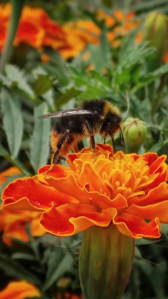 Photograph by Елена Силантьева