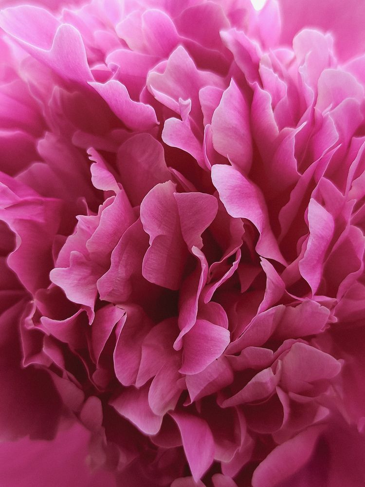 Фотография автора Олеся