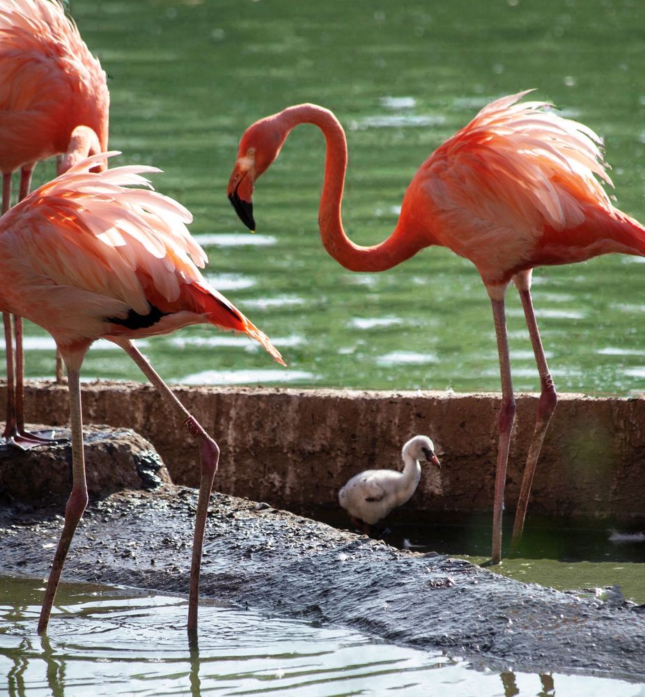 Фотография автора Galina Sa