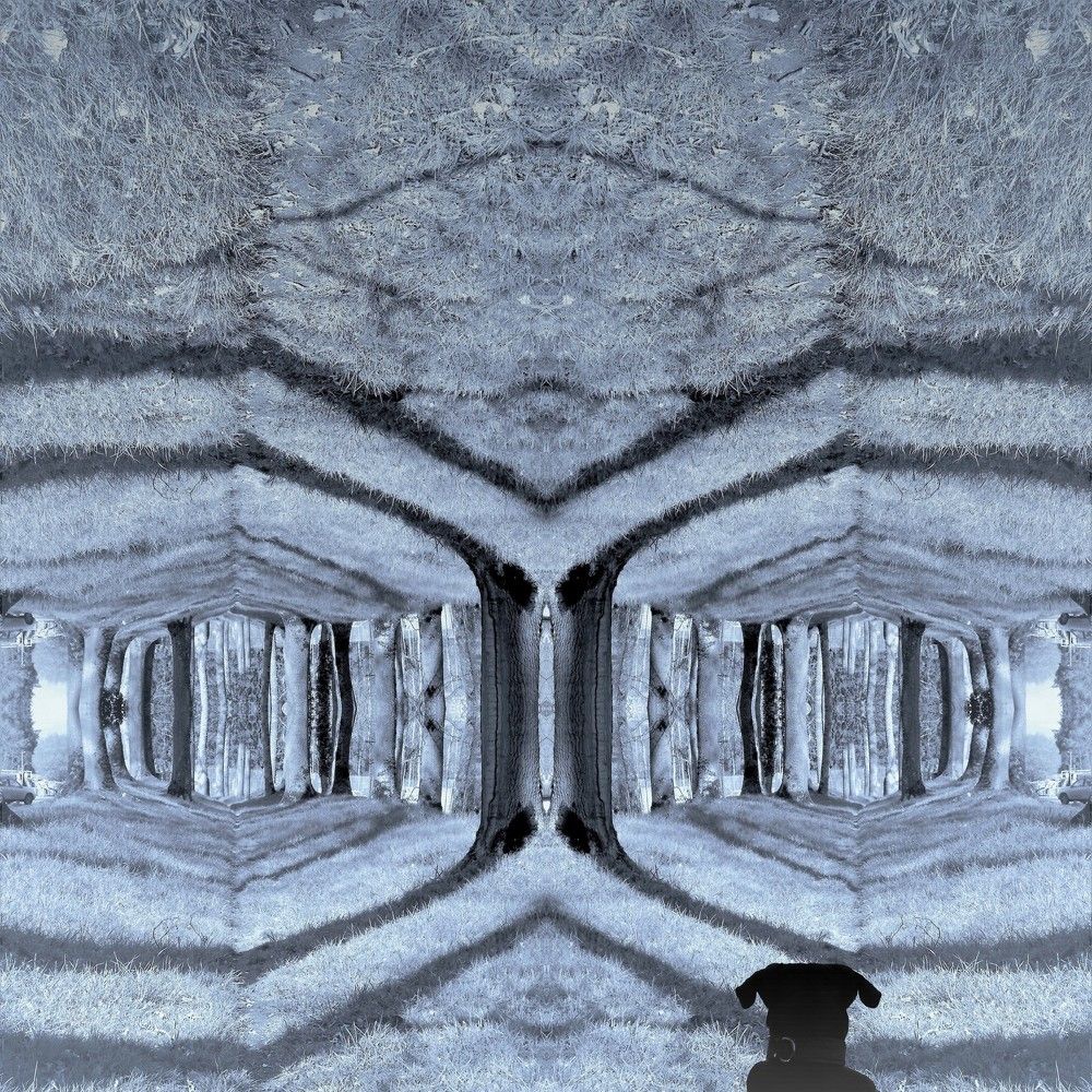 Double Dream - Double Rêve