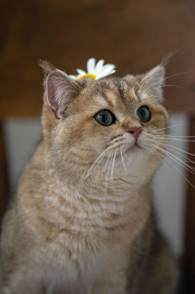 Photograph by Анастасия Ознобина