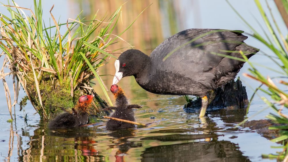 Photograph by Александр Лазаренко