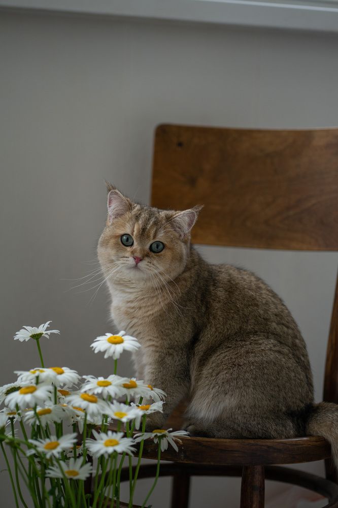 Photograph by Анастасия Ознобина