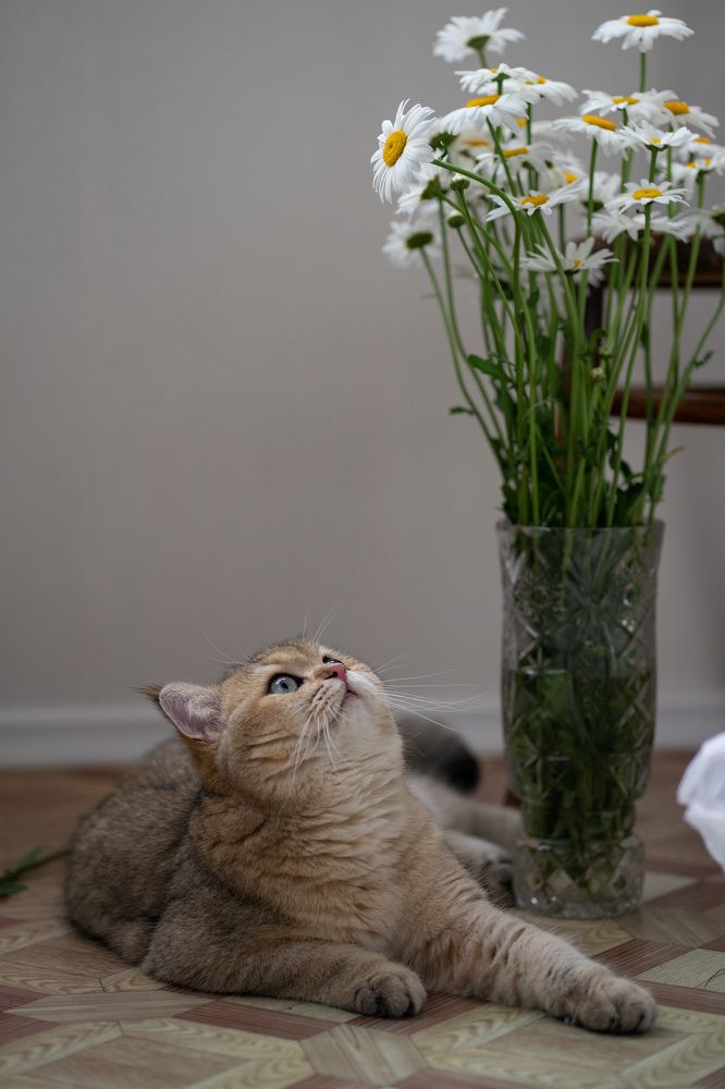 Photograph by Анастасия Ознобина