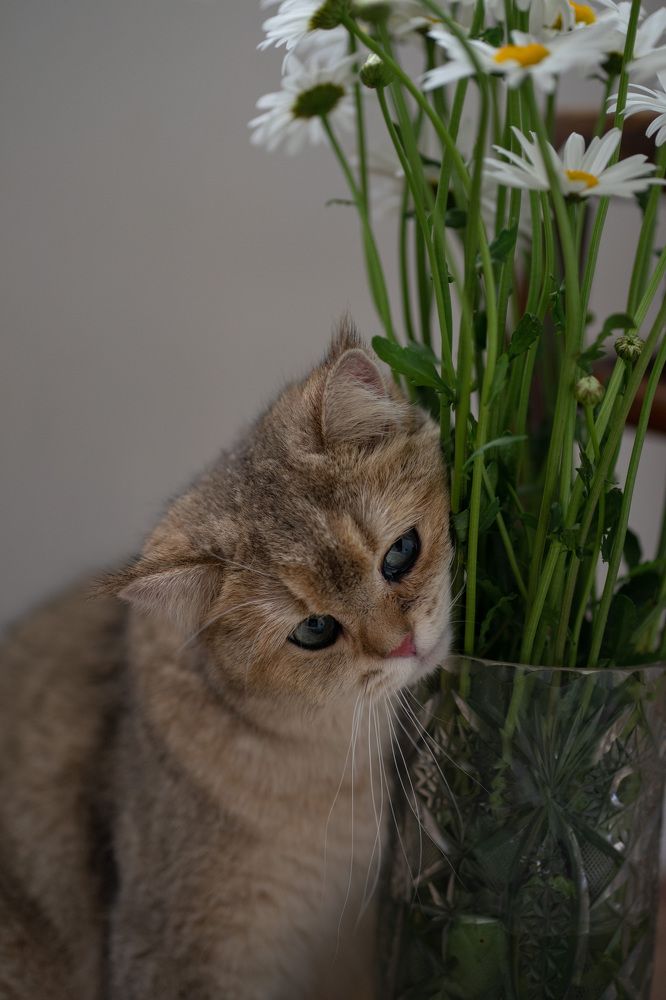 Photograph by Анастасия Ознобина