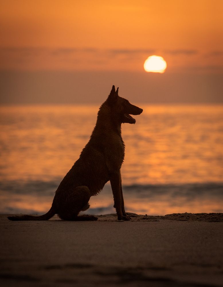 Photograph by Alexandre Marques