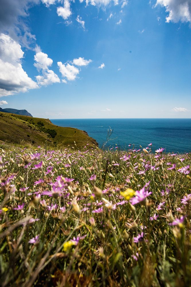 Photograph by Александр Вдовенко