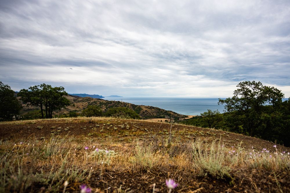 Photograph by Александр Вдовенко