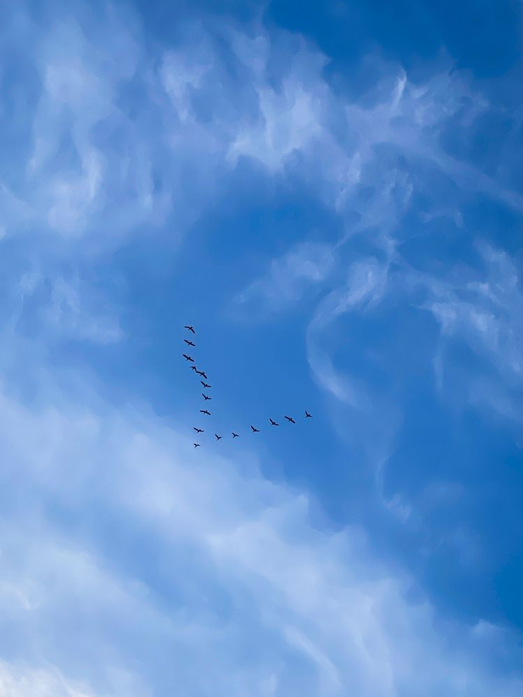 Photograph by kishan lalwani