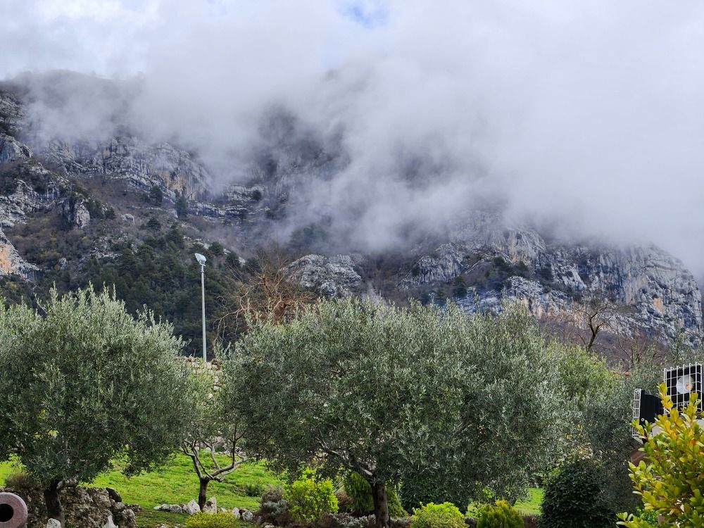 Фотография автора Tigran Kocharyan