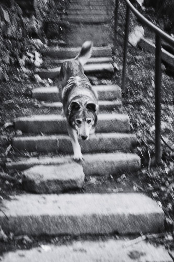 Photograph by Daria Kirina