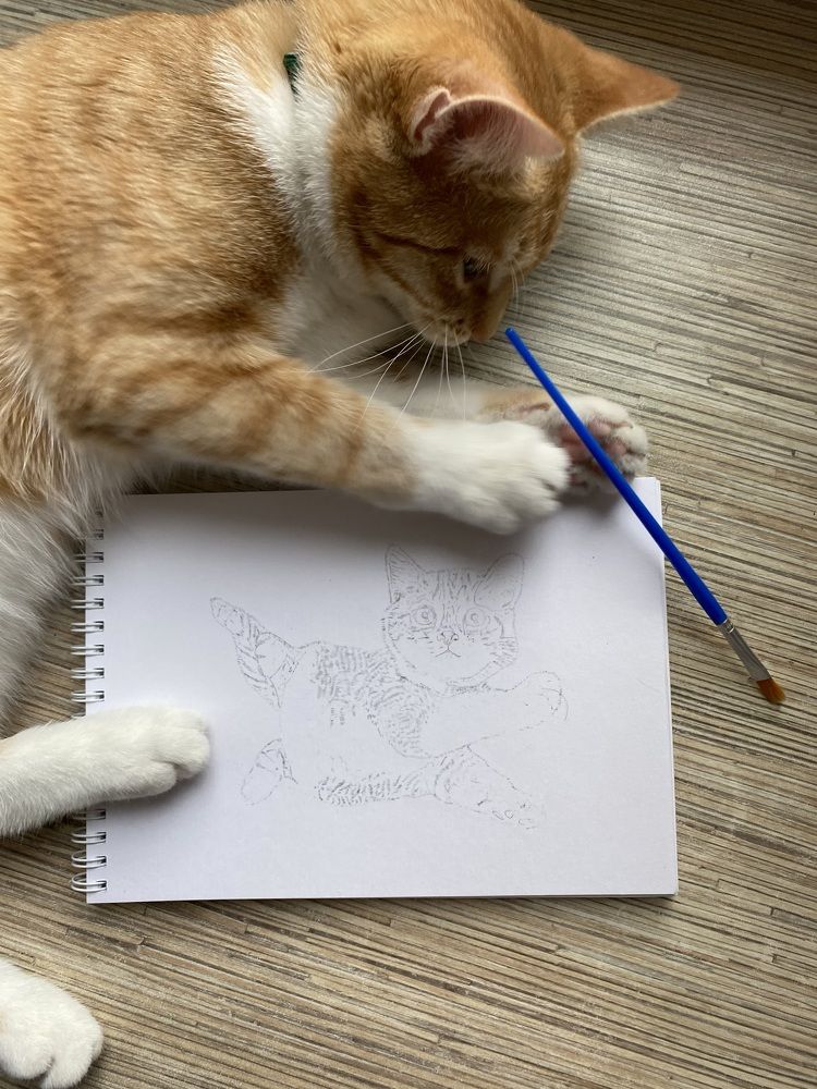 Photograph by Екатерина Балакина