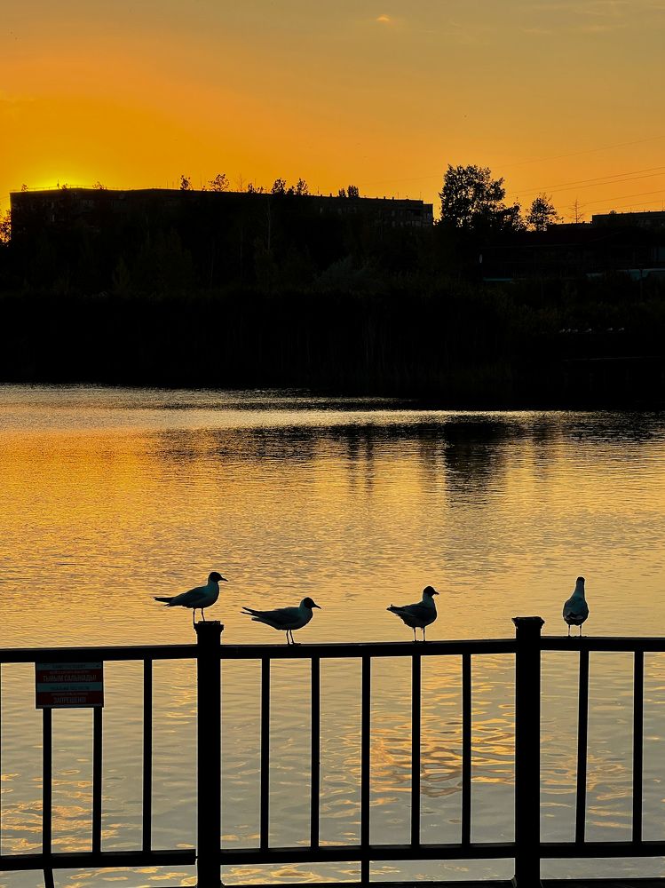 Photograph by Алёна Стародубцева