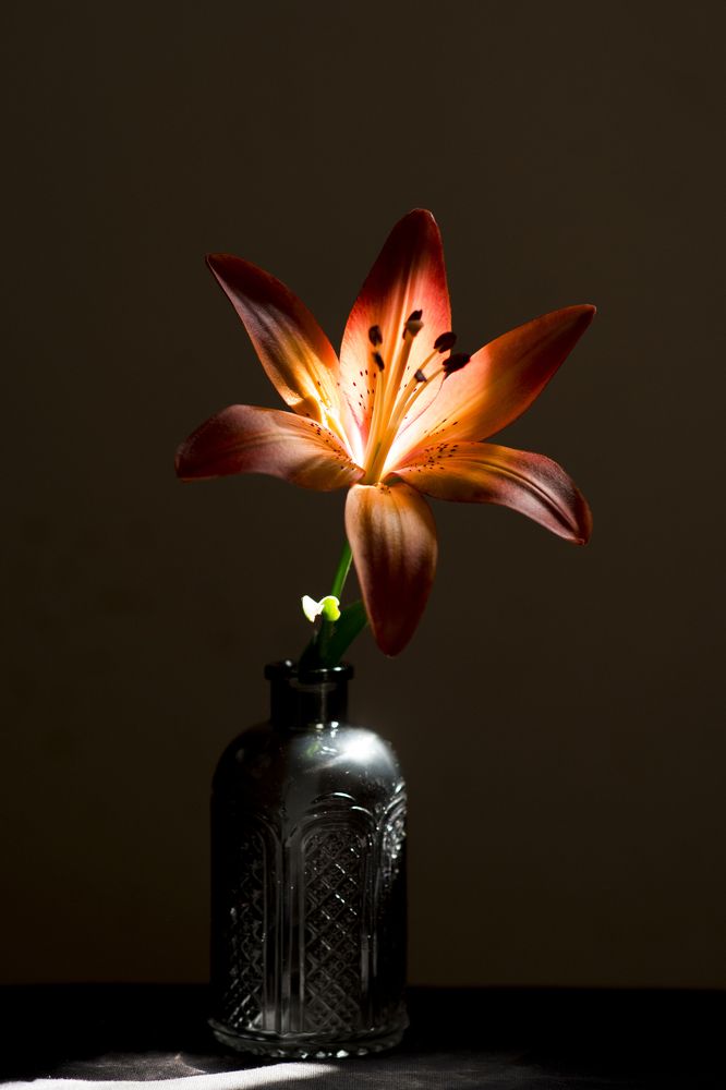 Photograph by Татьяна Литвинова