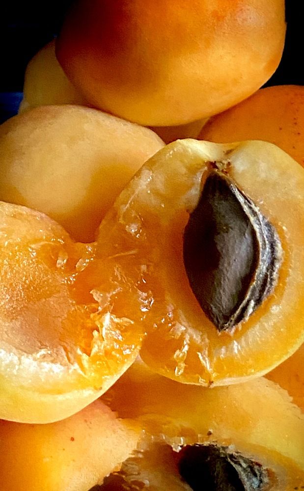 Photograph by Ирина Сорока