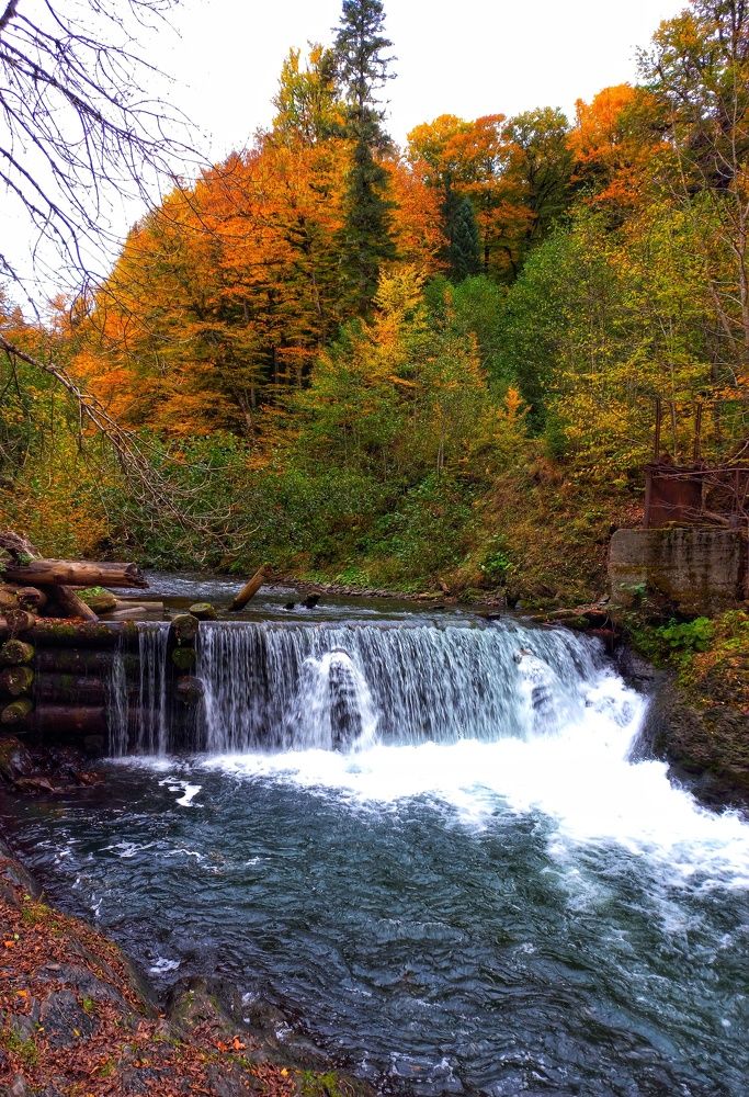 Photograph by Юлия Коробкова