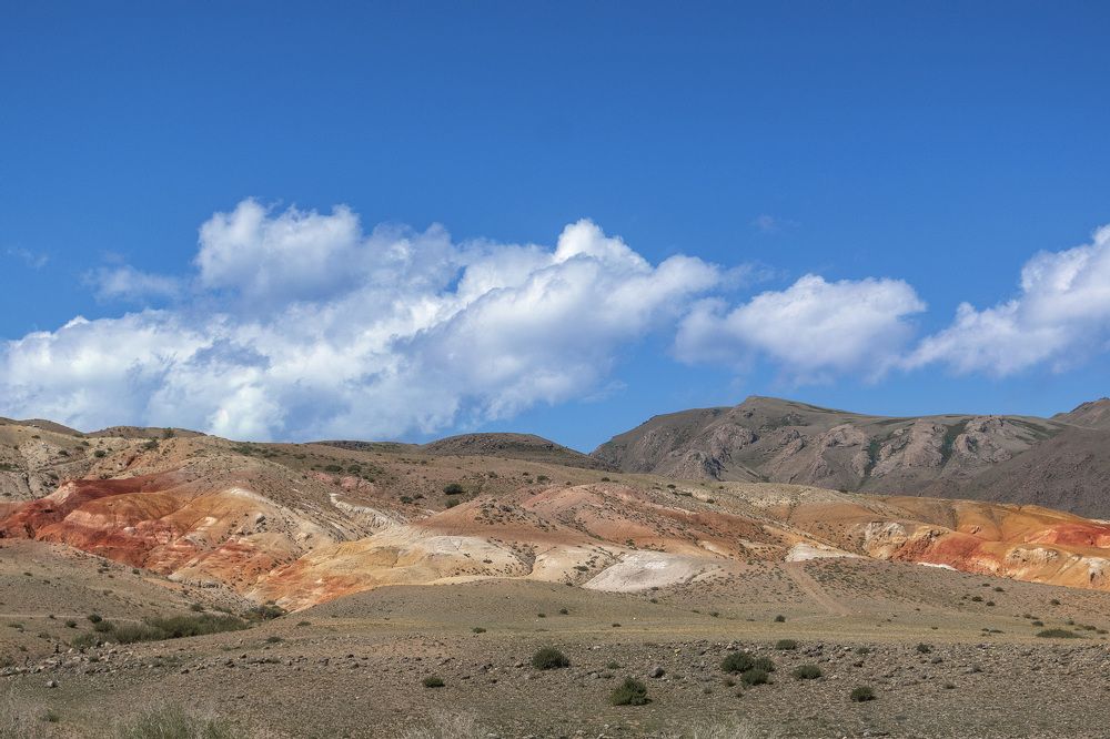 Алтайский "Марс"