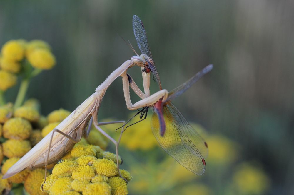 Photograph by Аlessandro