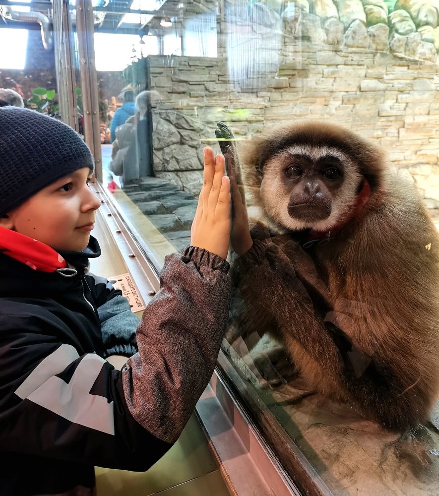 Photograph by Елизавета Лай