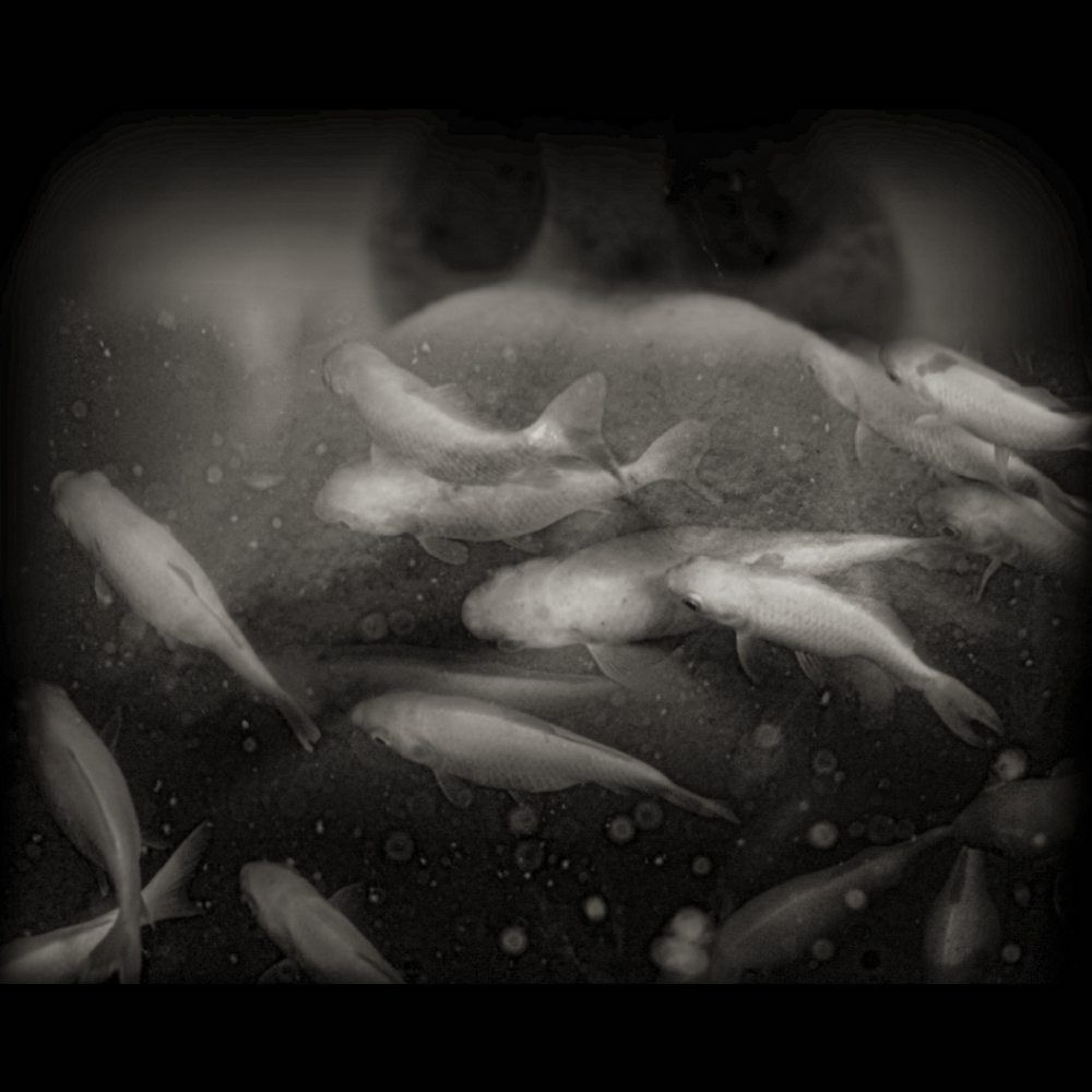 Photograph by Efi Laskari