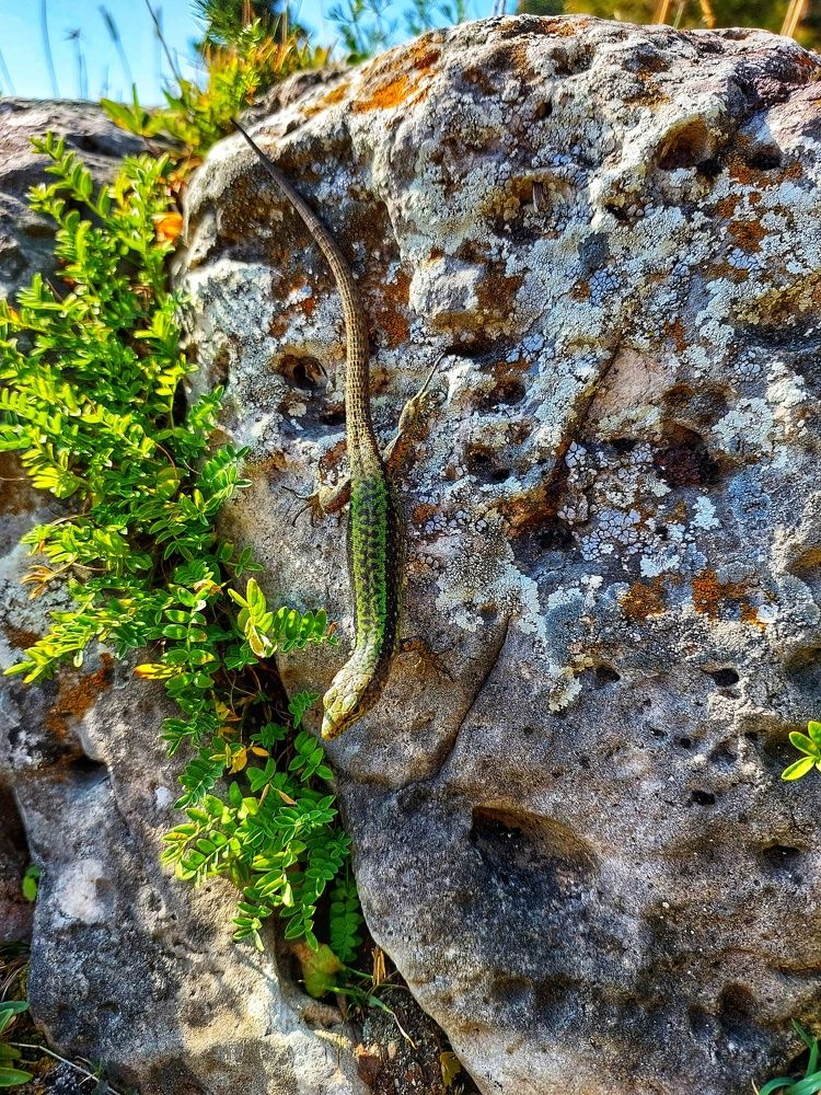 Photograph by Юлия Коробкова