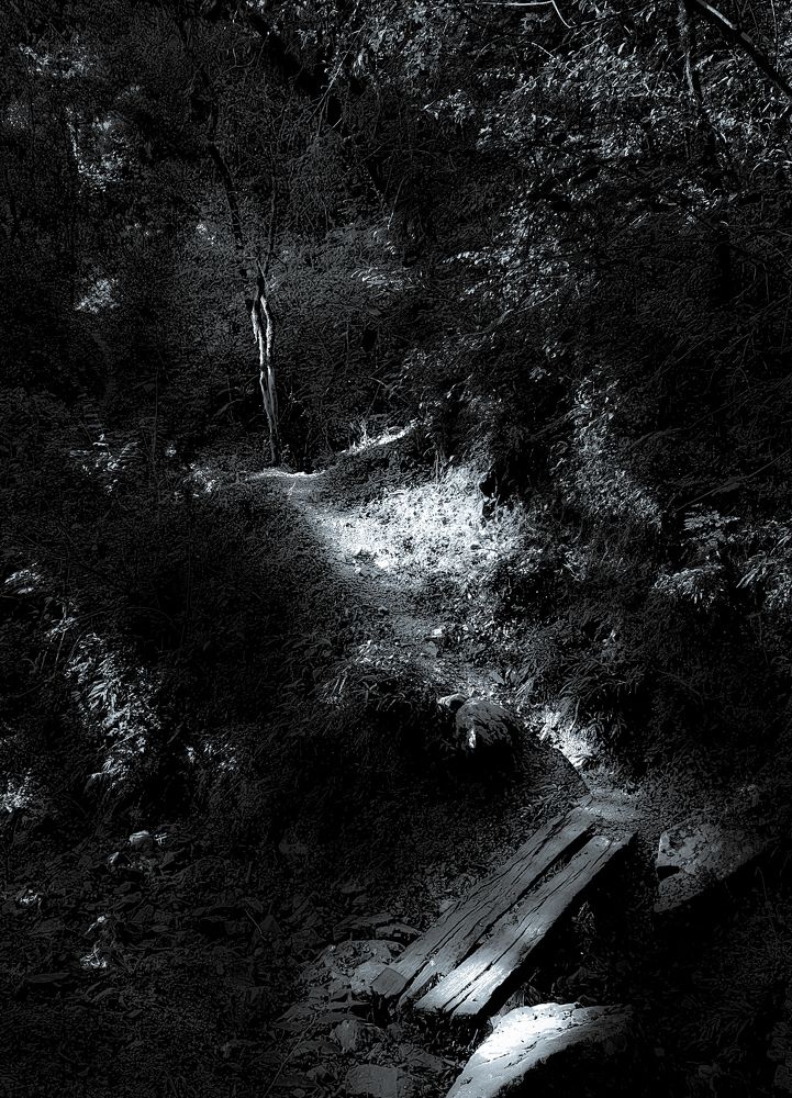 Photograph by José Luis Godoy