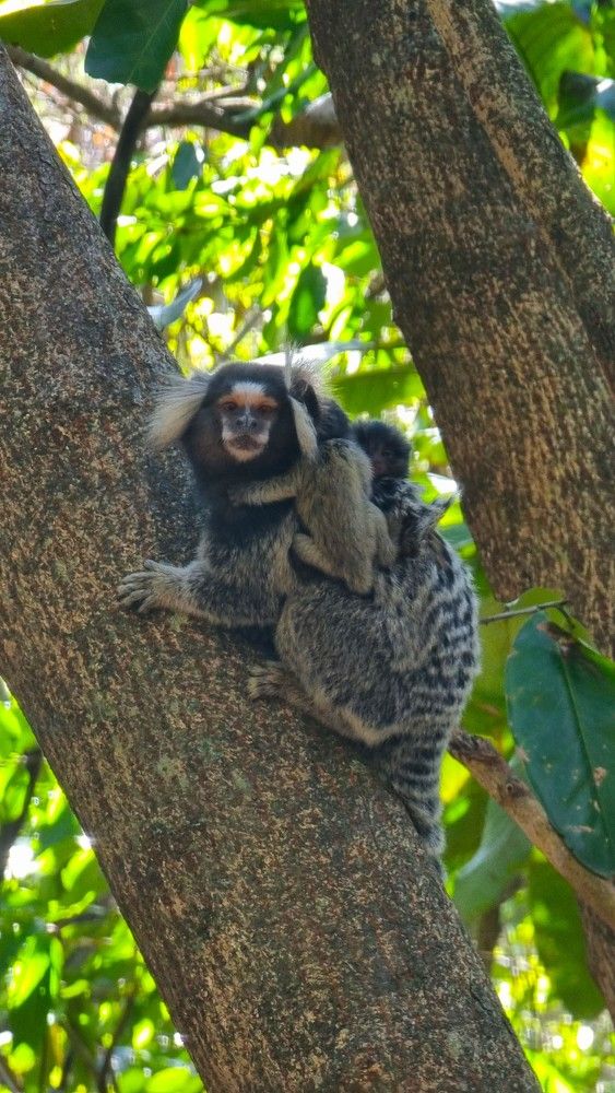 Photograph by Marie G