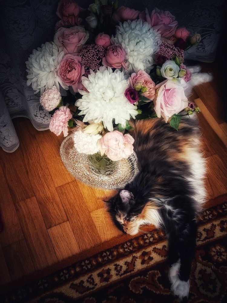 Фотография автора Дана Богинская