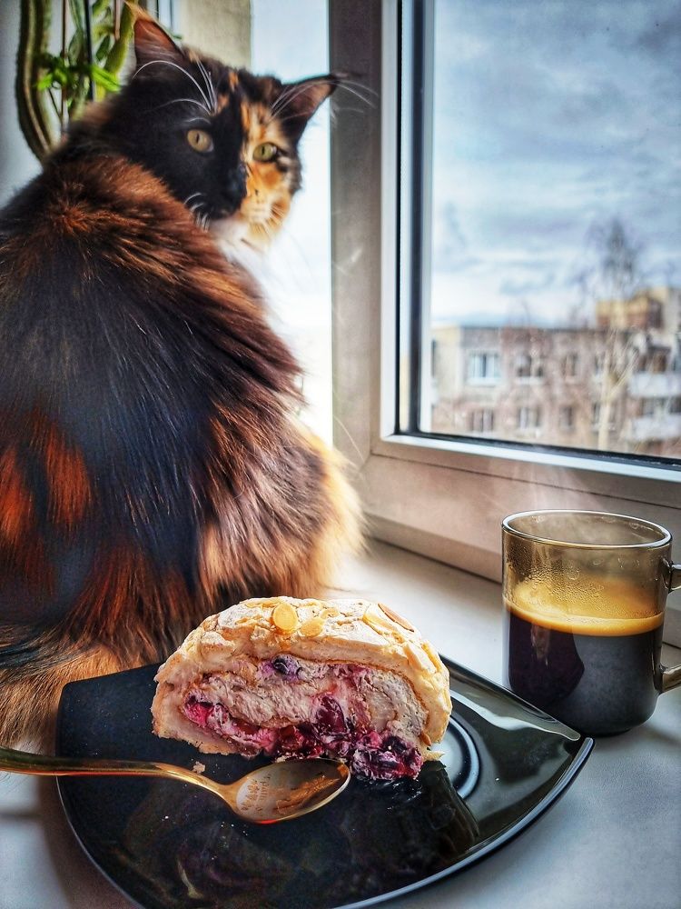 Фотография автора Дана Богинская