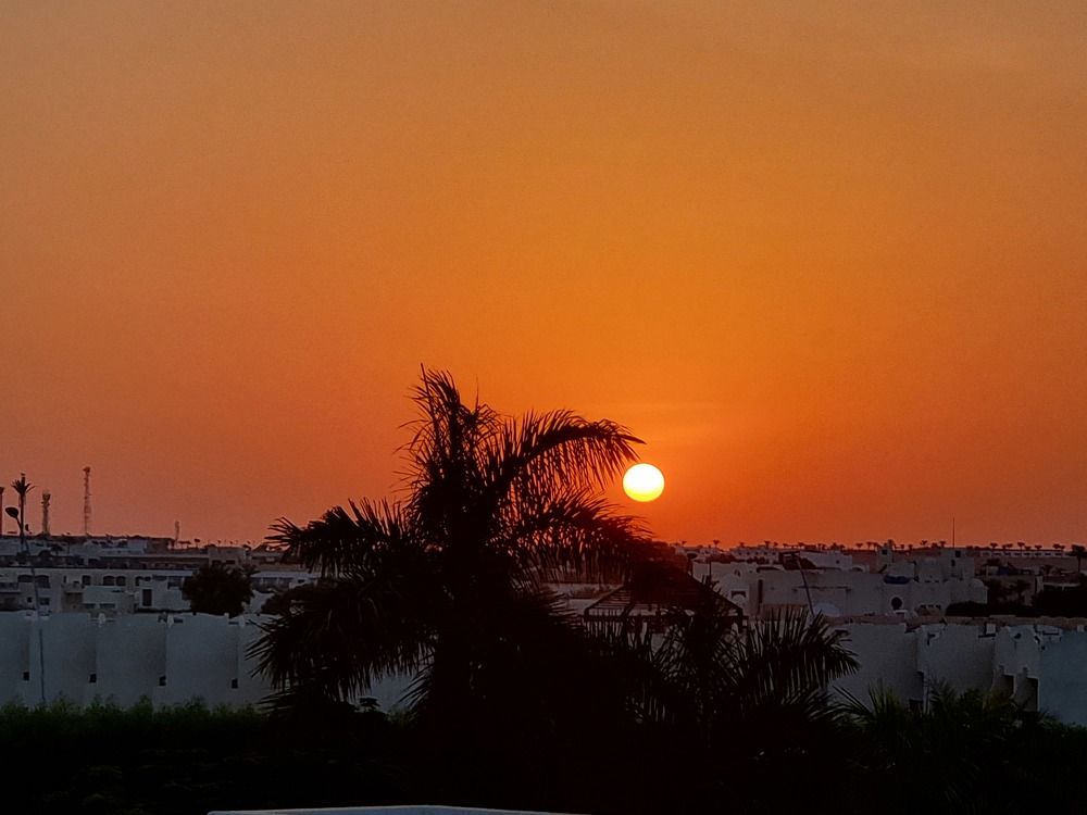 Фотография автора Дана Богинская