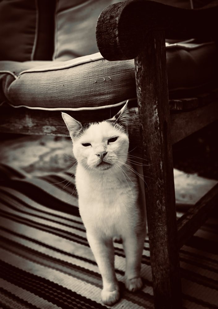 Photograph by Евгения