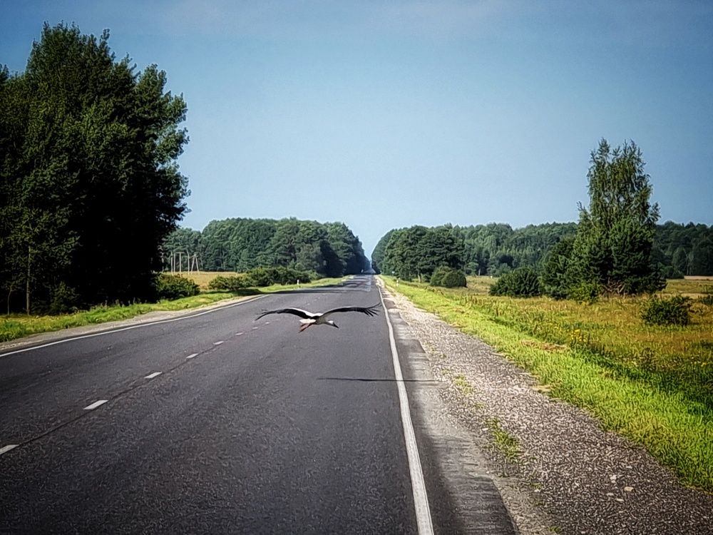 Фотография автора Дана Богинская