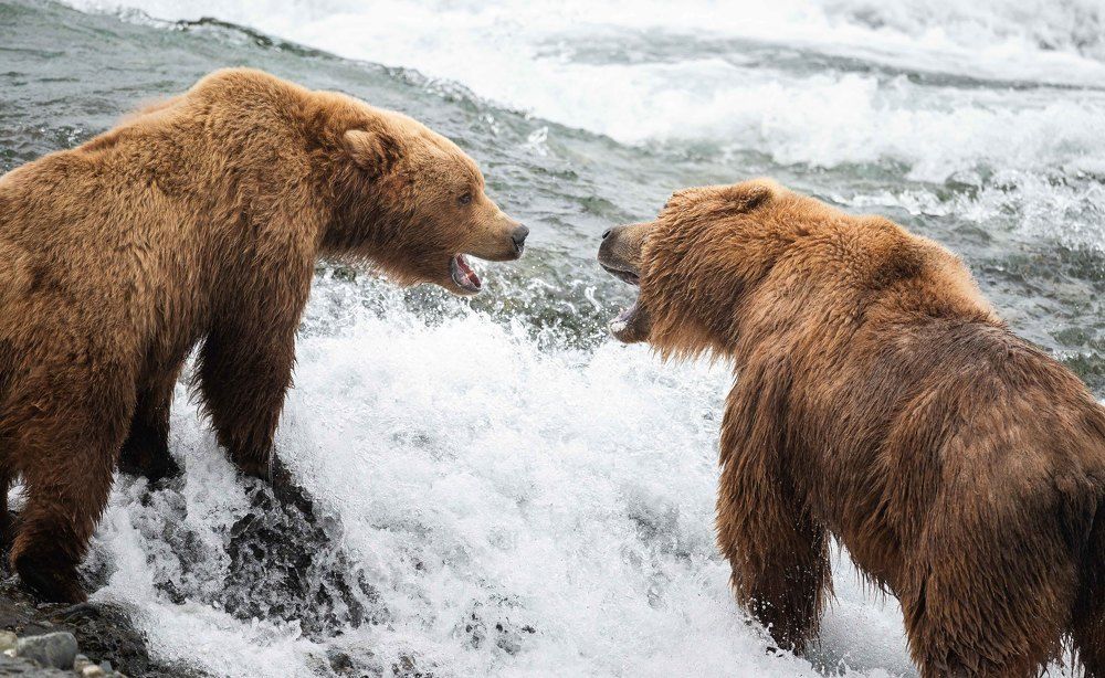 Photograph by Parth Shiras