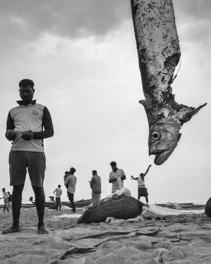 Photograph by Puspita Chowdhury