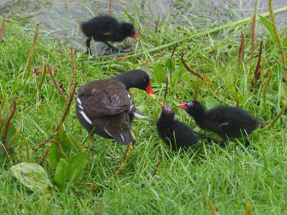 Photograph by Ольга Панкова