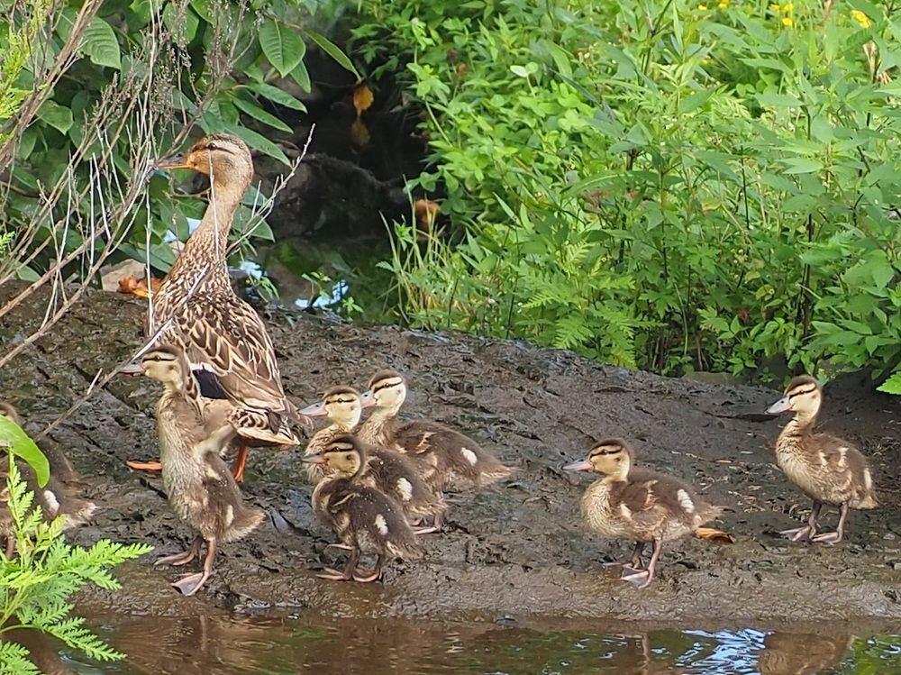 Photograph by Ольга Панкова