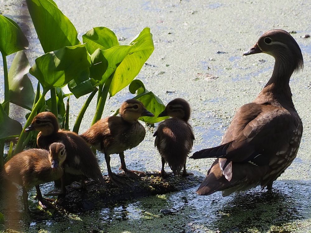 Photograph by Ольга Панкова