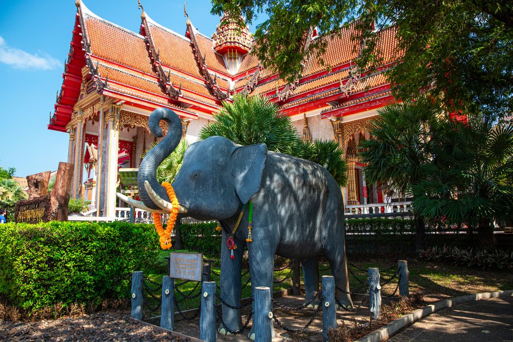 Photograph by Елена Прохорова