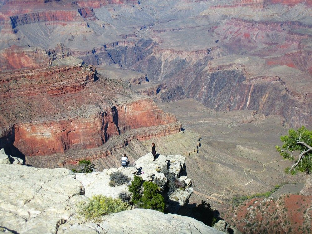 Фотография автора Елена