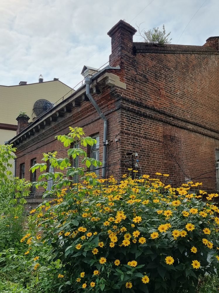 Photograph by Ольга