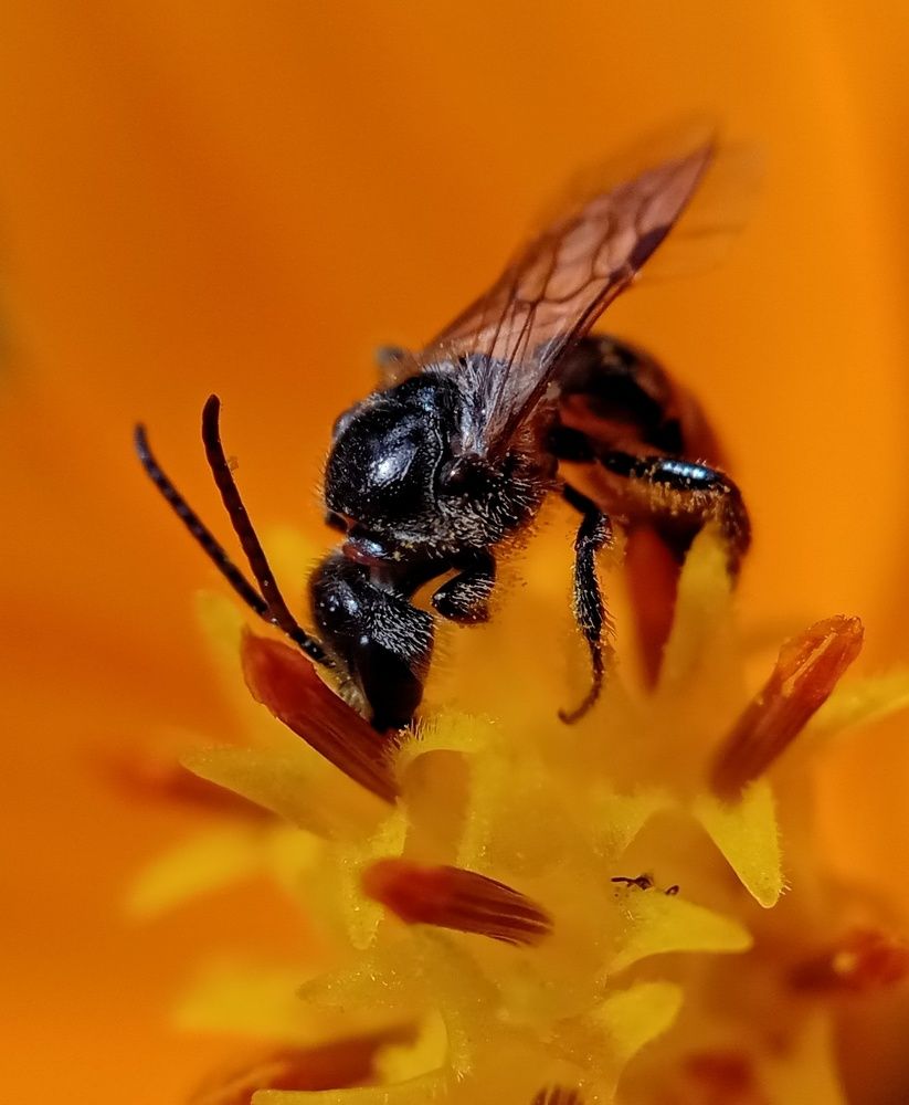 Photograph by Thimira dinisuru