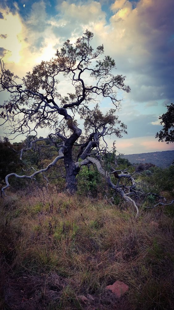 Фотография автора Rita Duvenhage