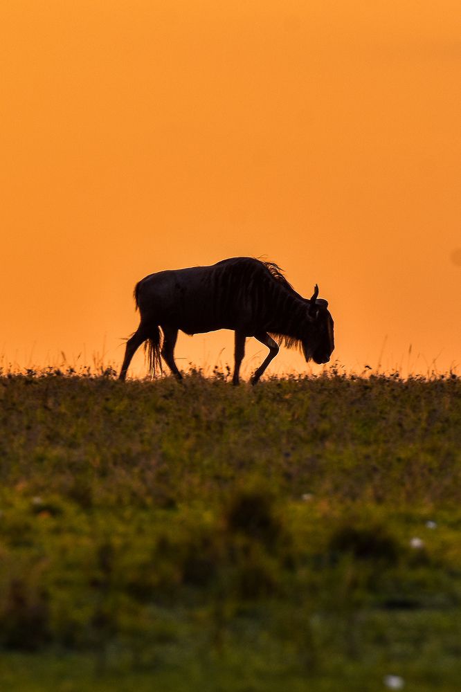 Photograph by Jaikumar Moorthi