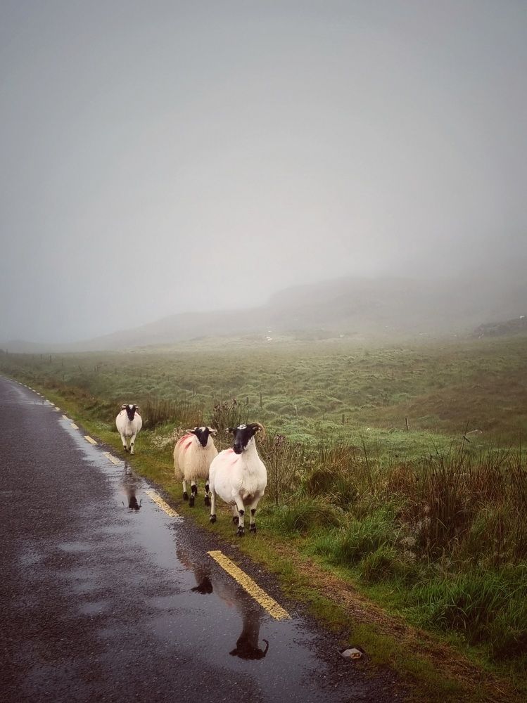 Photograph by Hanna Bourne