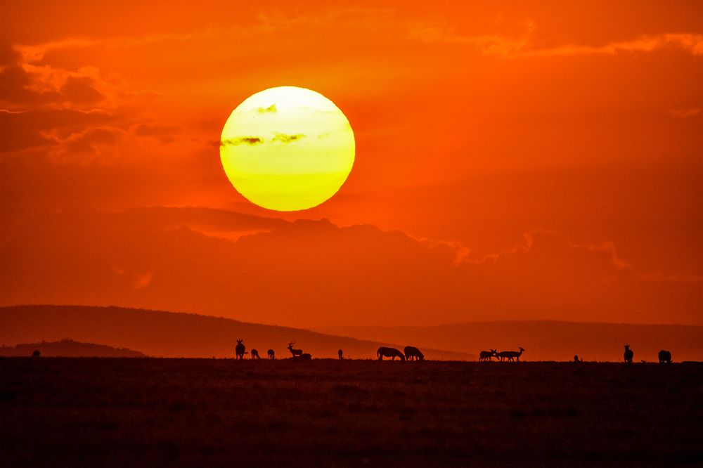 Photograph by Jaikumar Moorthi