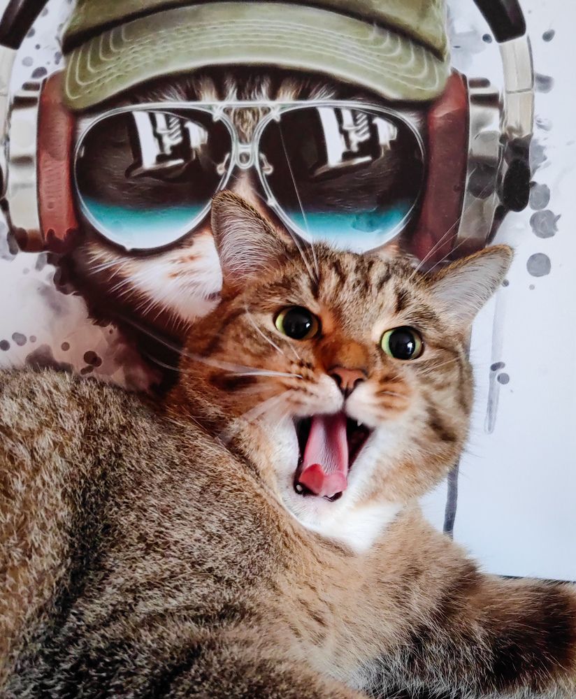 Photograph by Максим Малмыга