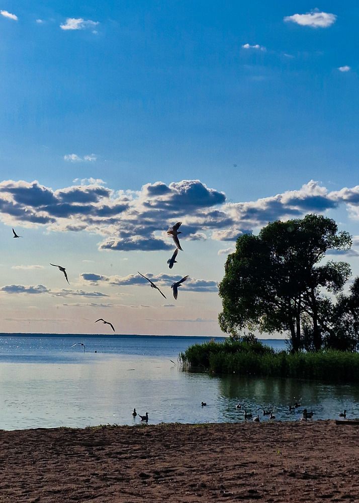 Photograph by Vera Vinogradova